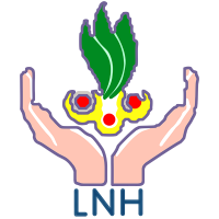 Lok Nayak Hospital, Delhi (LNJP)