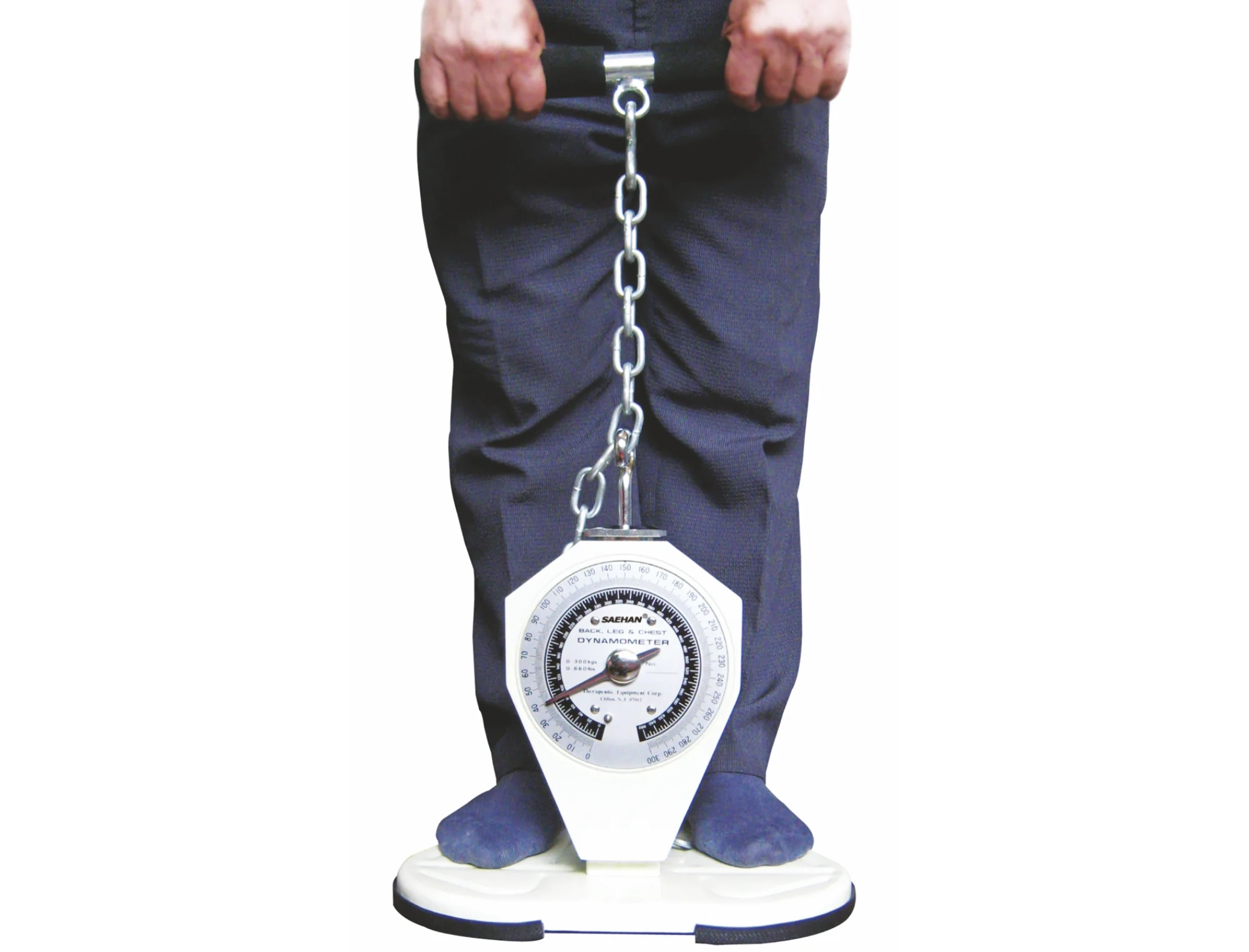 Saehan Back - Leg - Chest Dynamometer